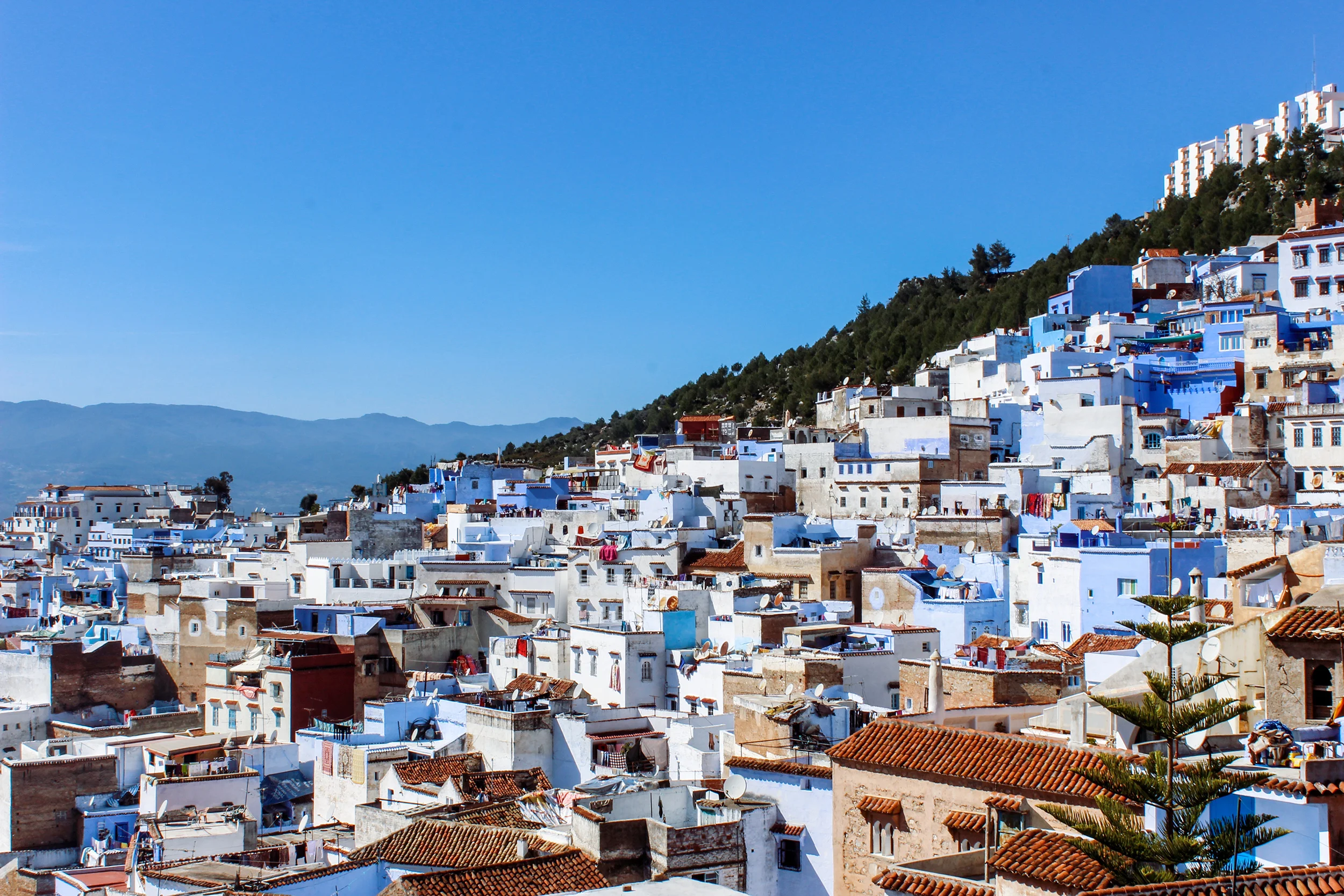 CDagostino_Chefchaouen_THUMB.jpg