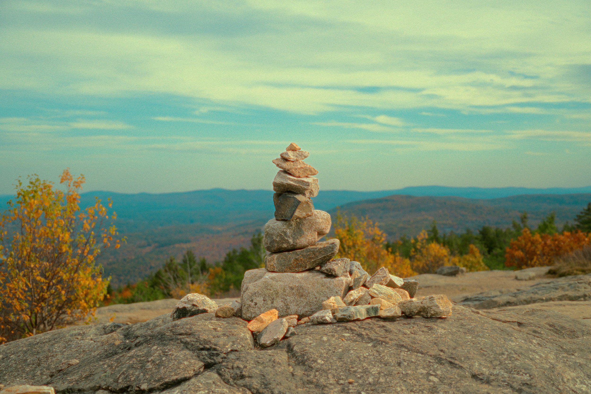 DSC_7411-Edit.jpg