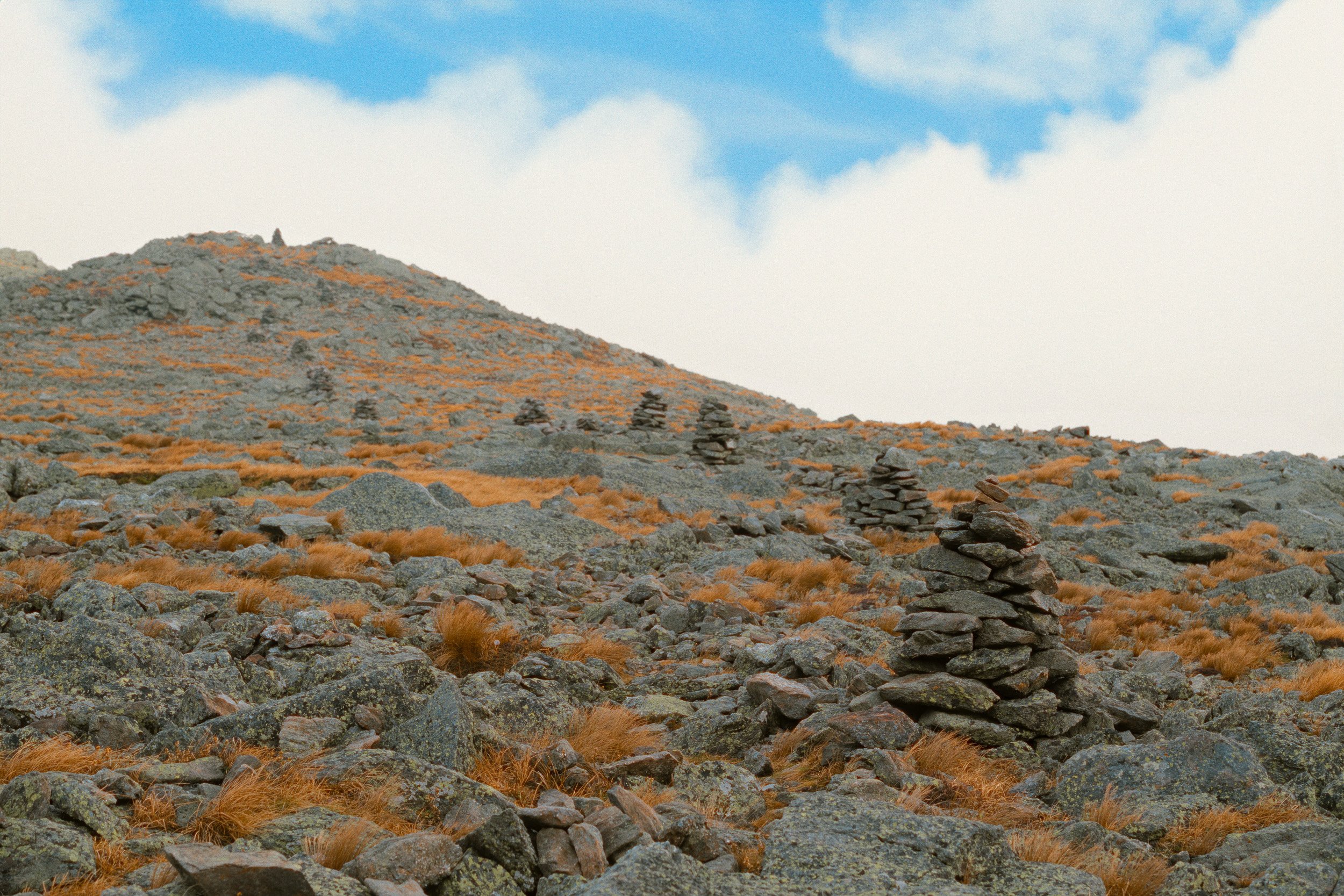 DSC_7433-Edit-Edit-Edit.jpg