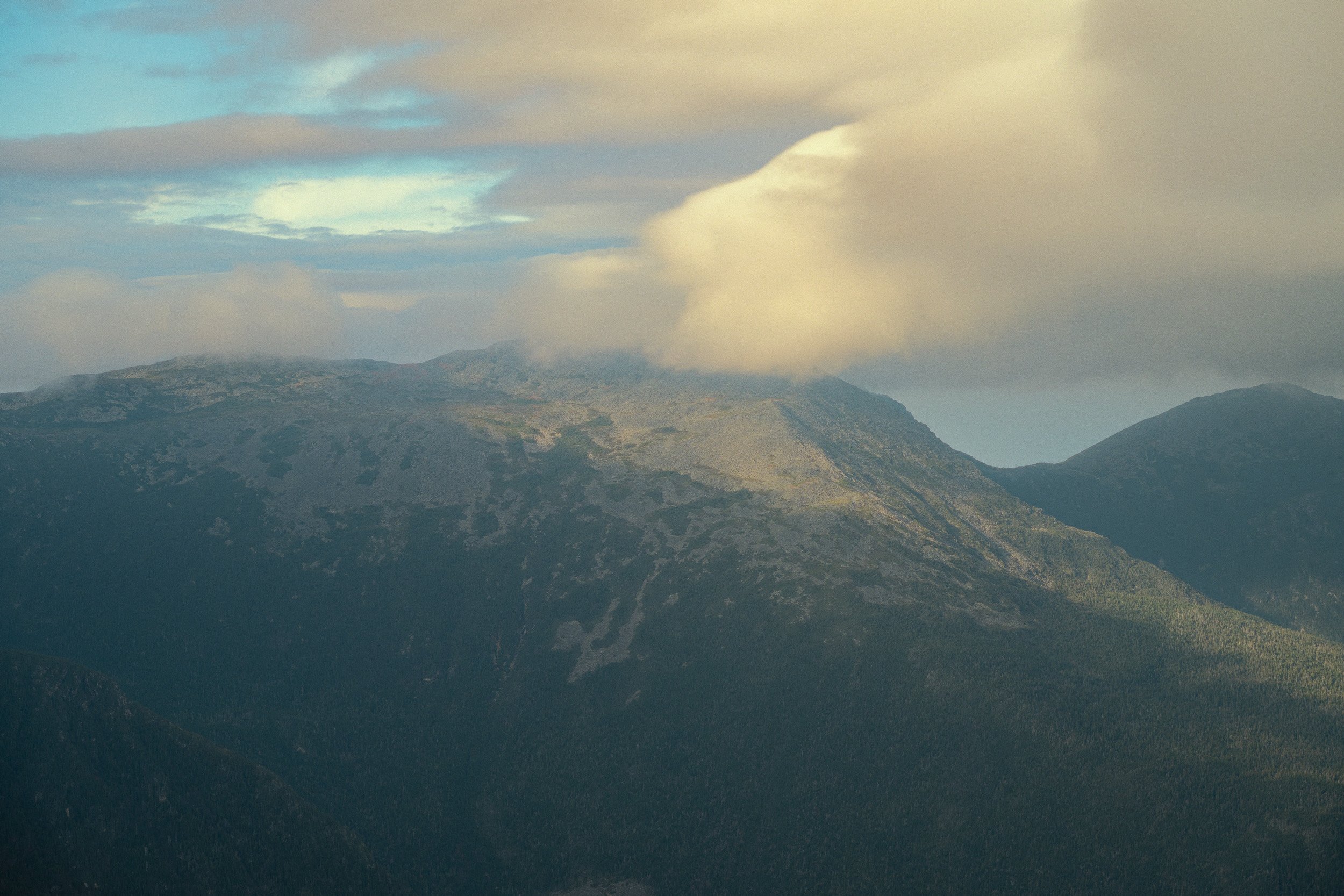DSC_7436-Edit-Edit.jpg