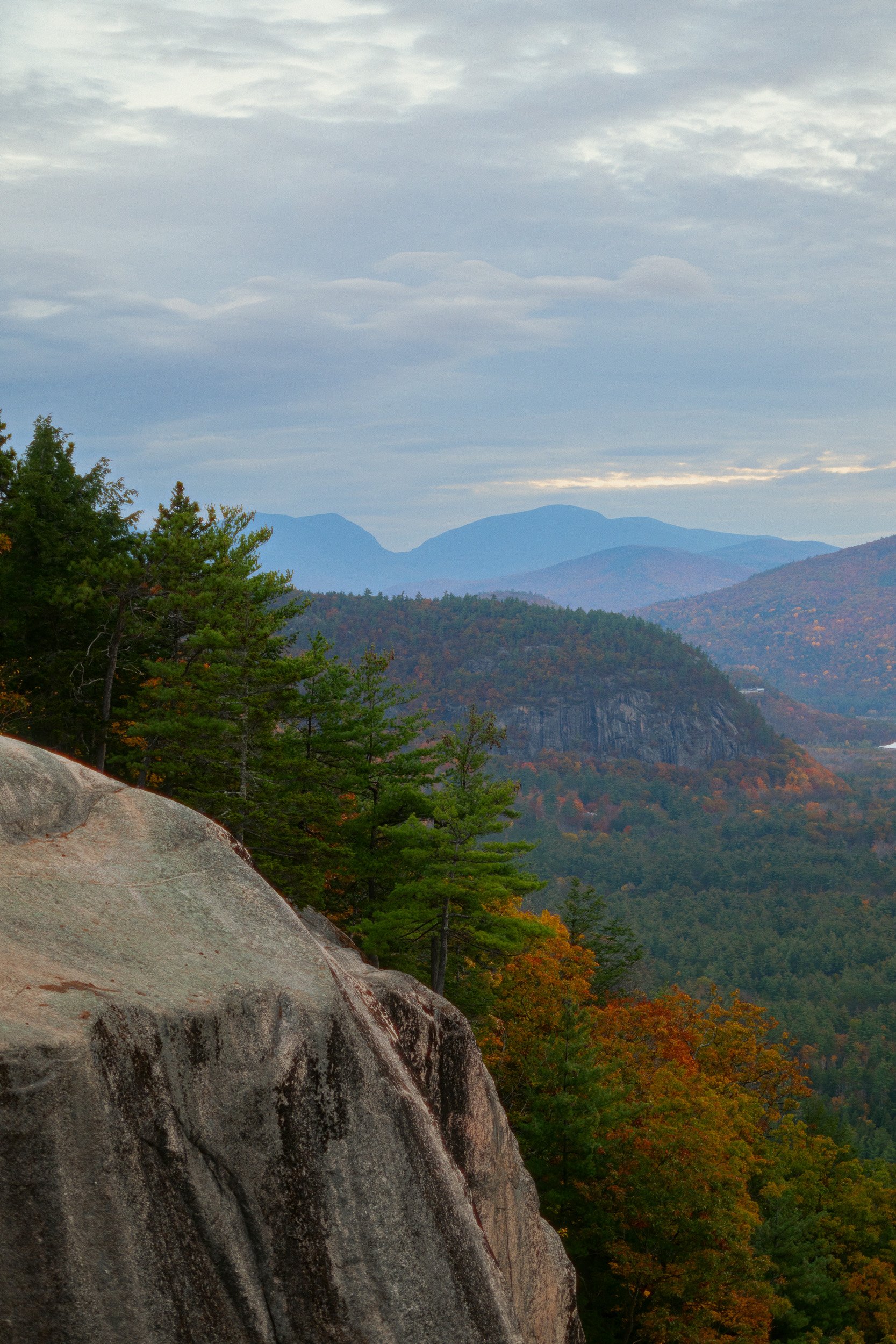 DSC_7446-Edit-Edit.jpg