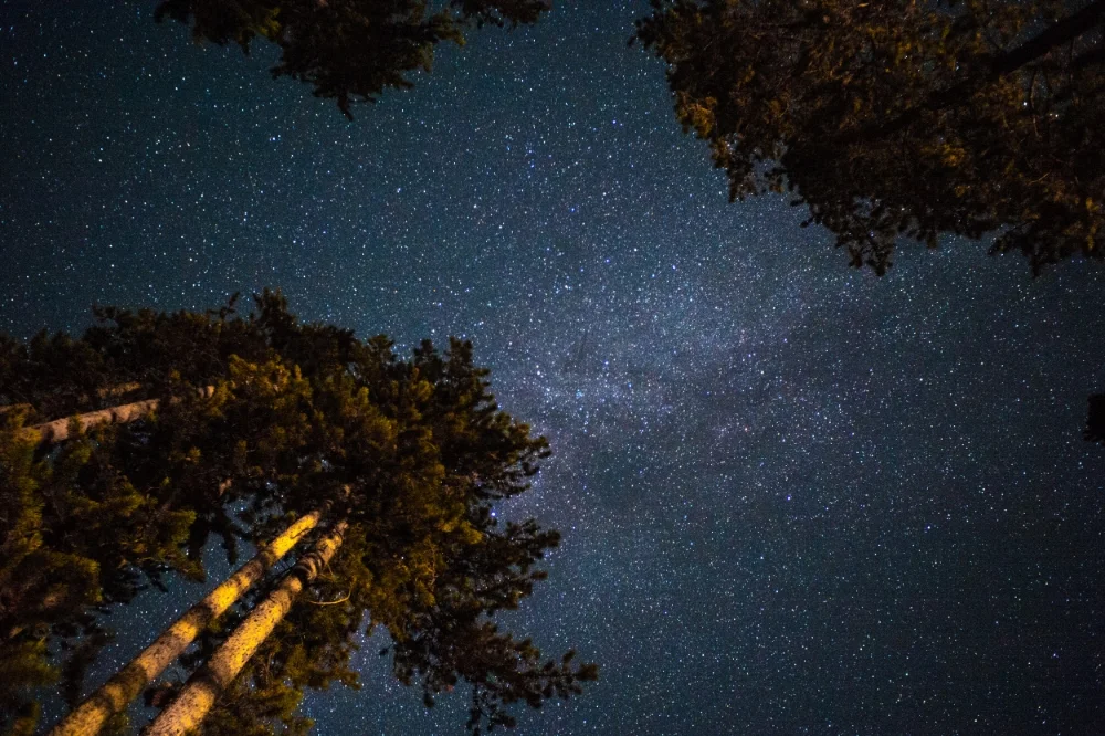 Starry Night