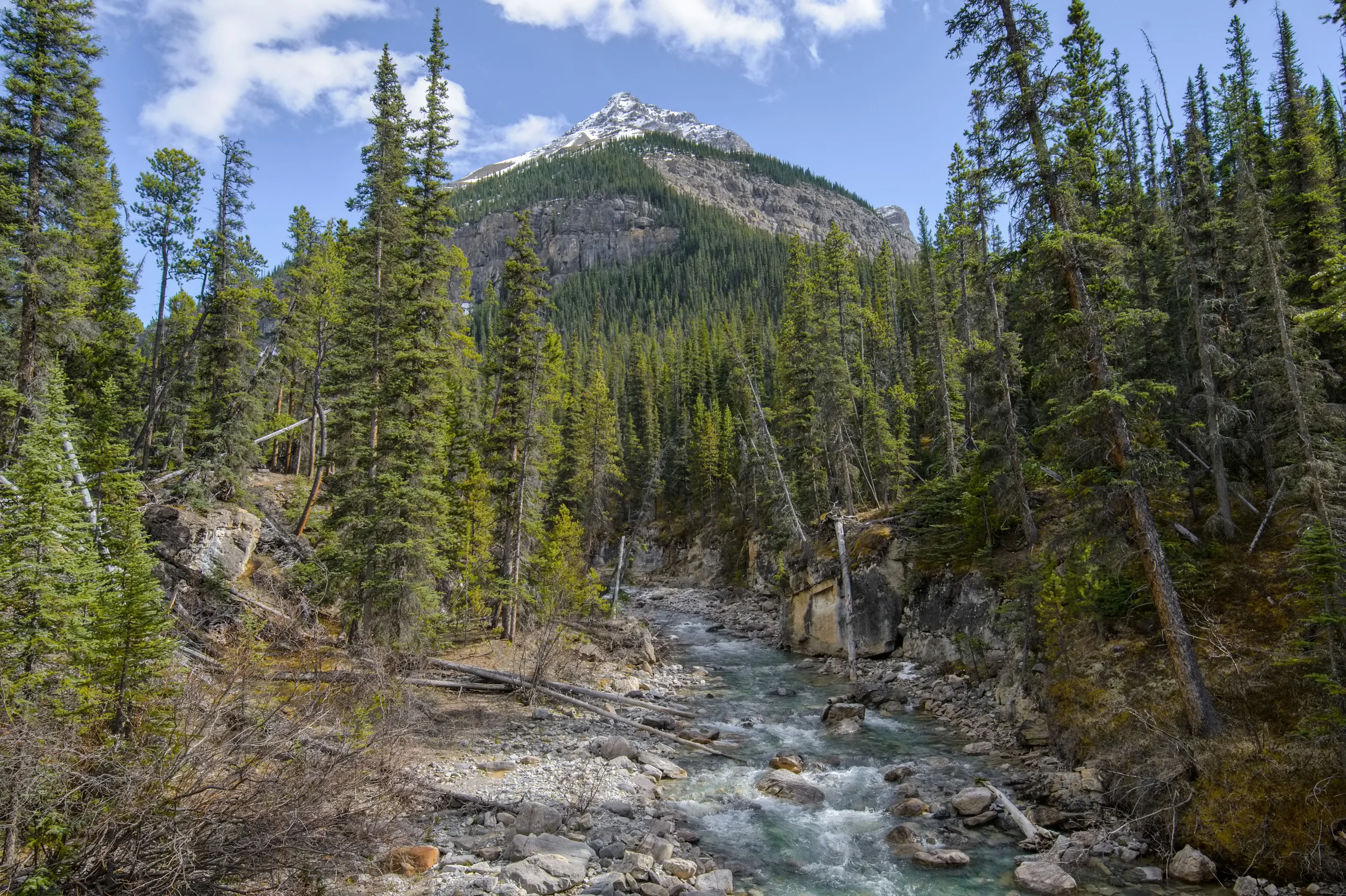 20160426 Jasper Trip AM 2614-HDR.jpg