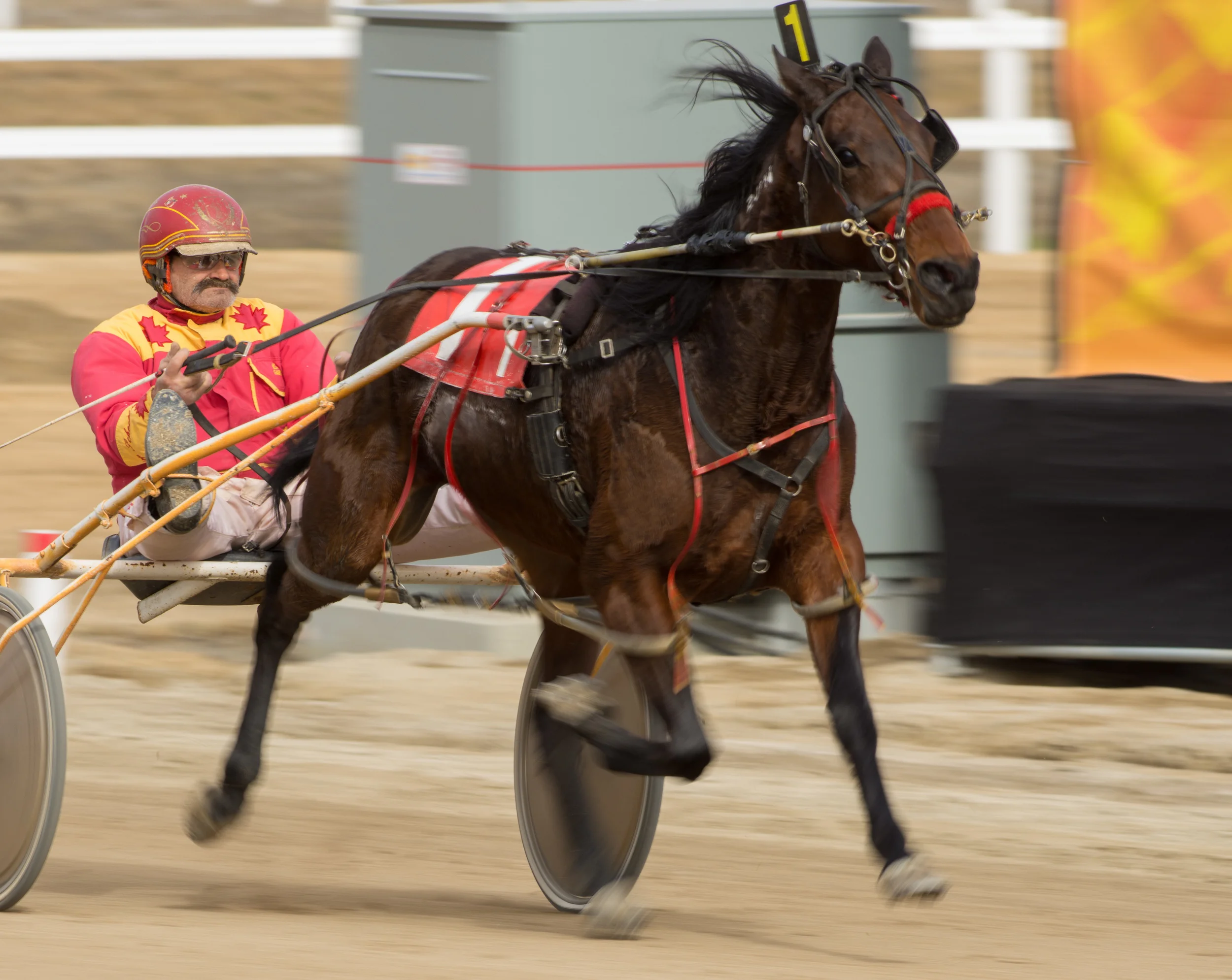 20160306 Century Downs AM 0047.jpg