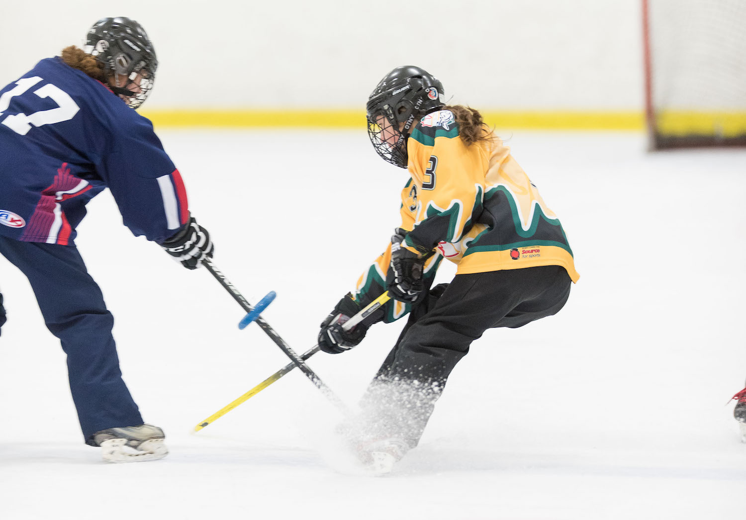 20170115 Saskatoon Impact vs Medicine Hat Avalanche Mawji 0381.jpg