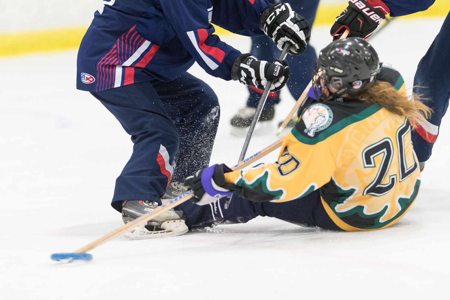20170115 Saskatoon Impact vs Medicine Hat Avalanche Mawji 0429.jpg