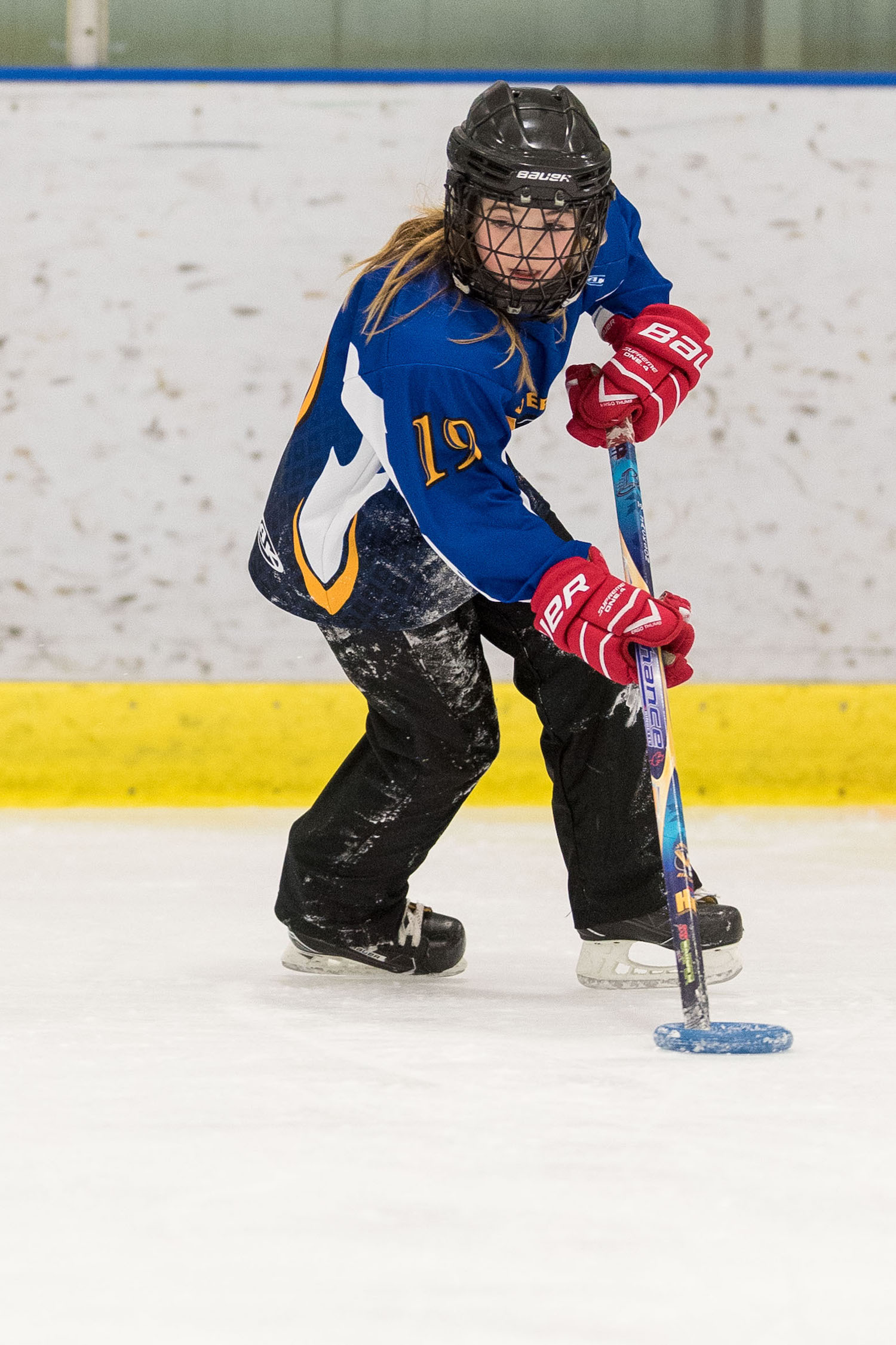 20170115 Venom Venom vs the YYC Impact Mawji 0212on white.jpg