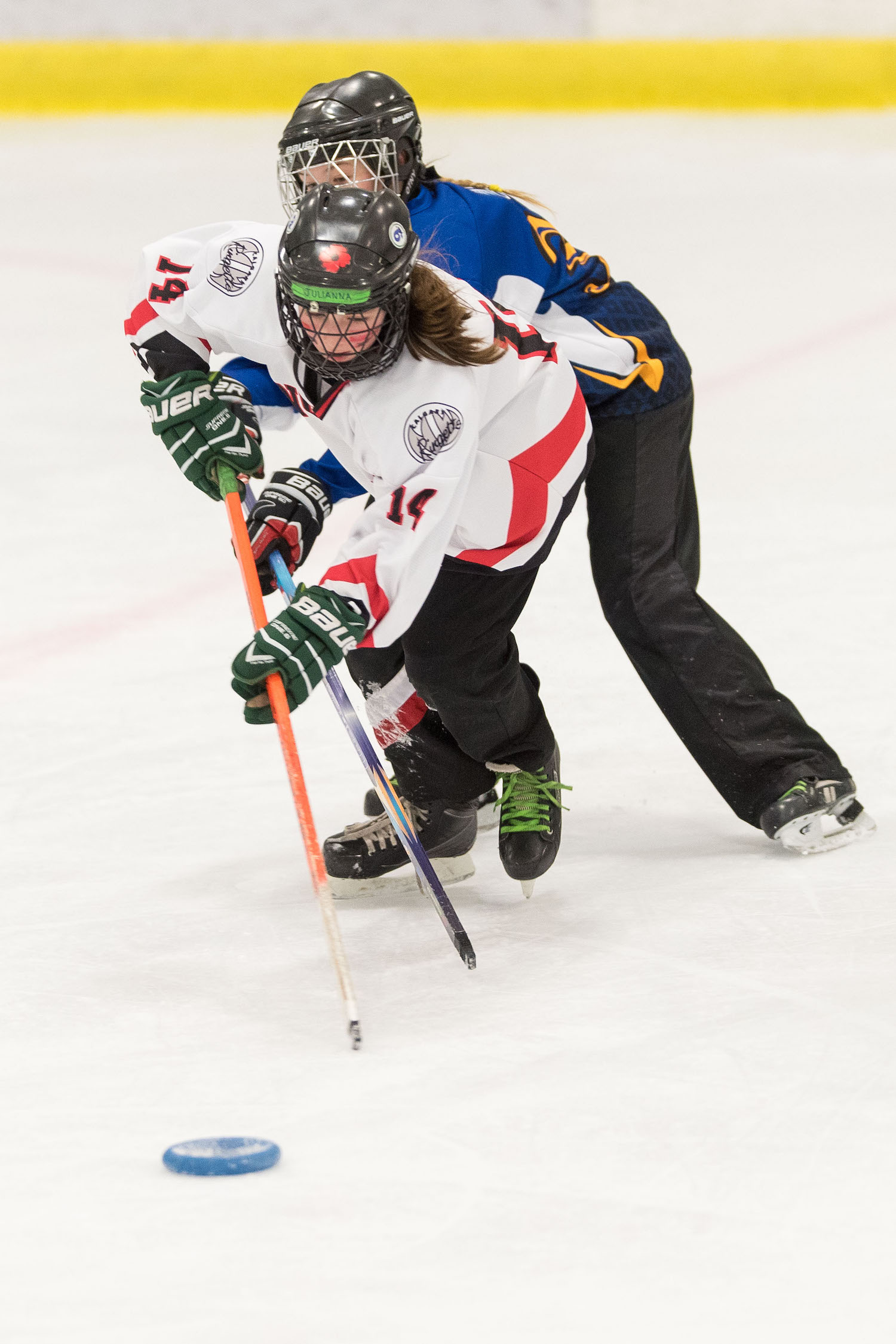 20170115 Venom Venom vs the YYC Impact Mawji 0553on whiteA.jpg