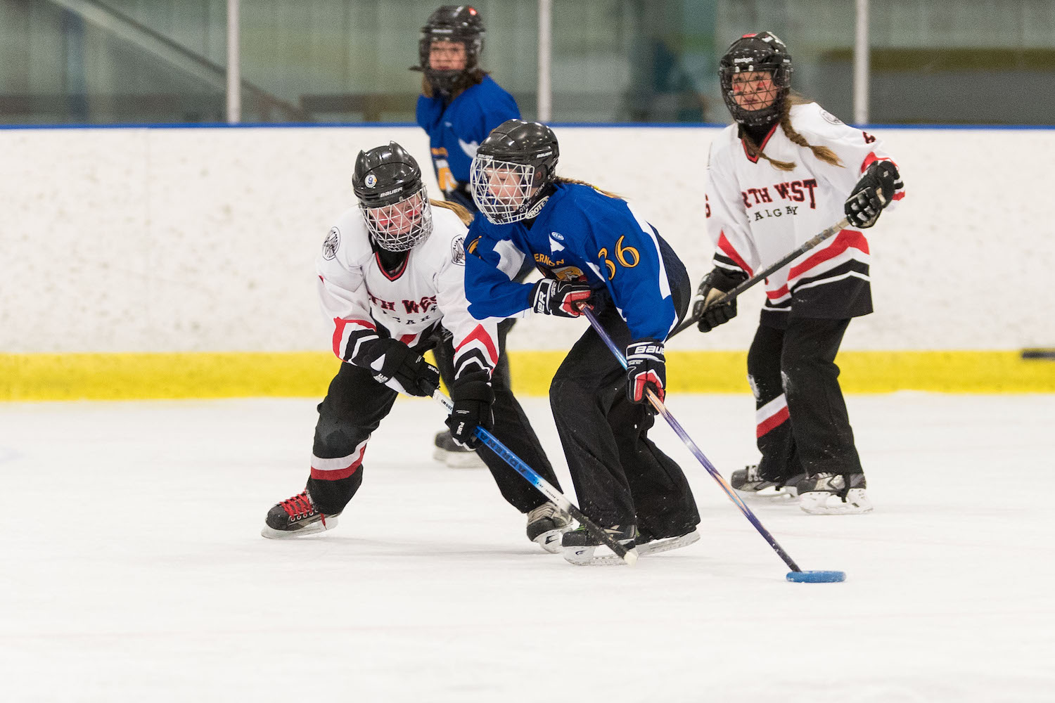 20170115 Venom Venom vs the YYC Impact Mawji 0119on white.jpg