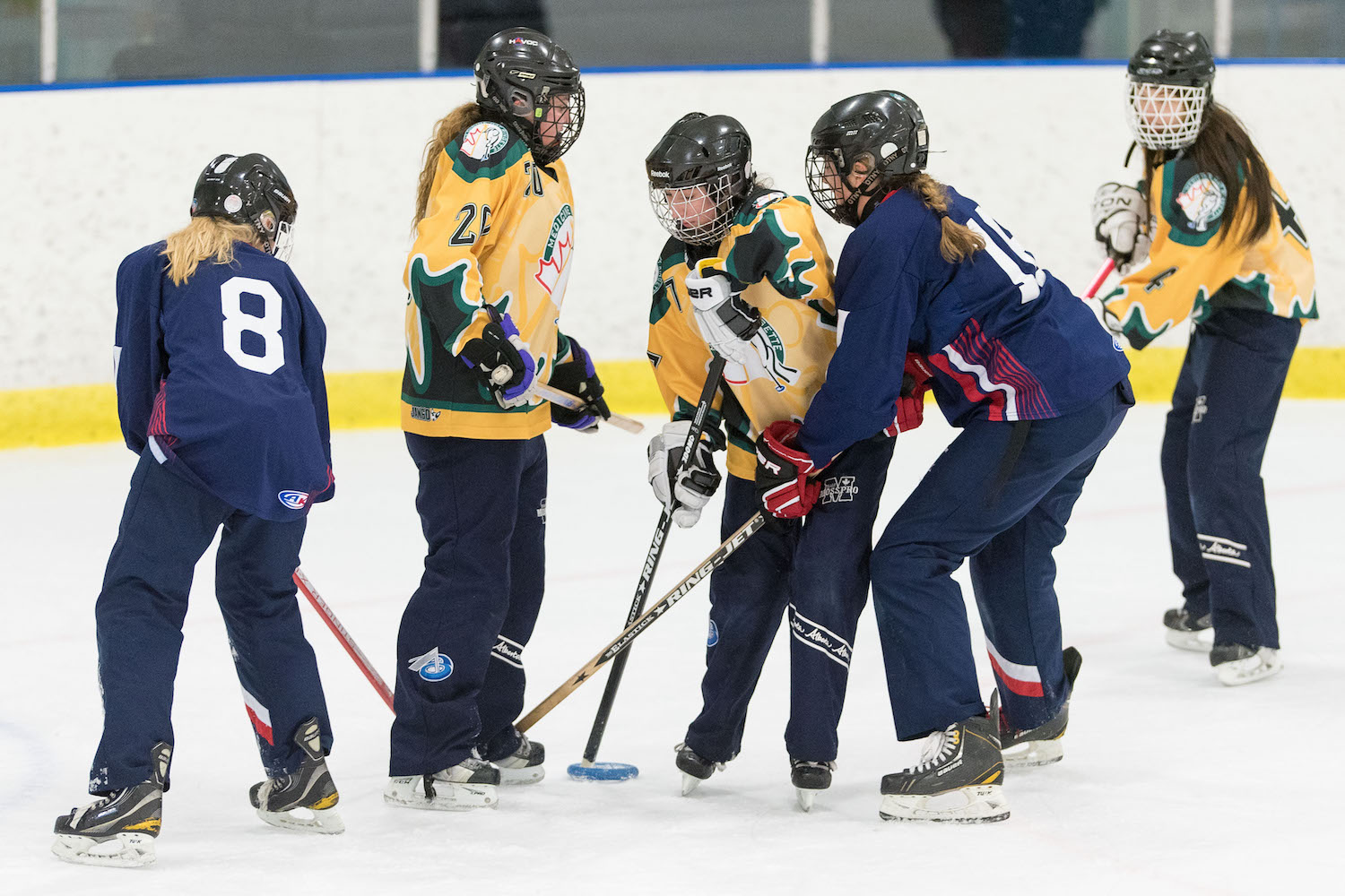 20170115 Saskatoon Impact vs Medicine Hat Avalanche Mawji 0782.jpg