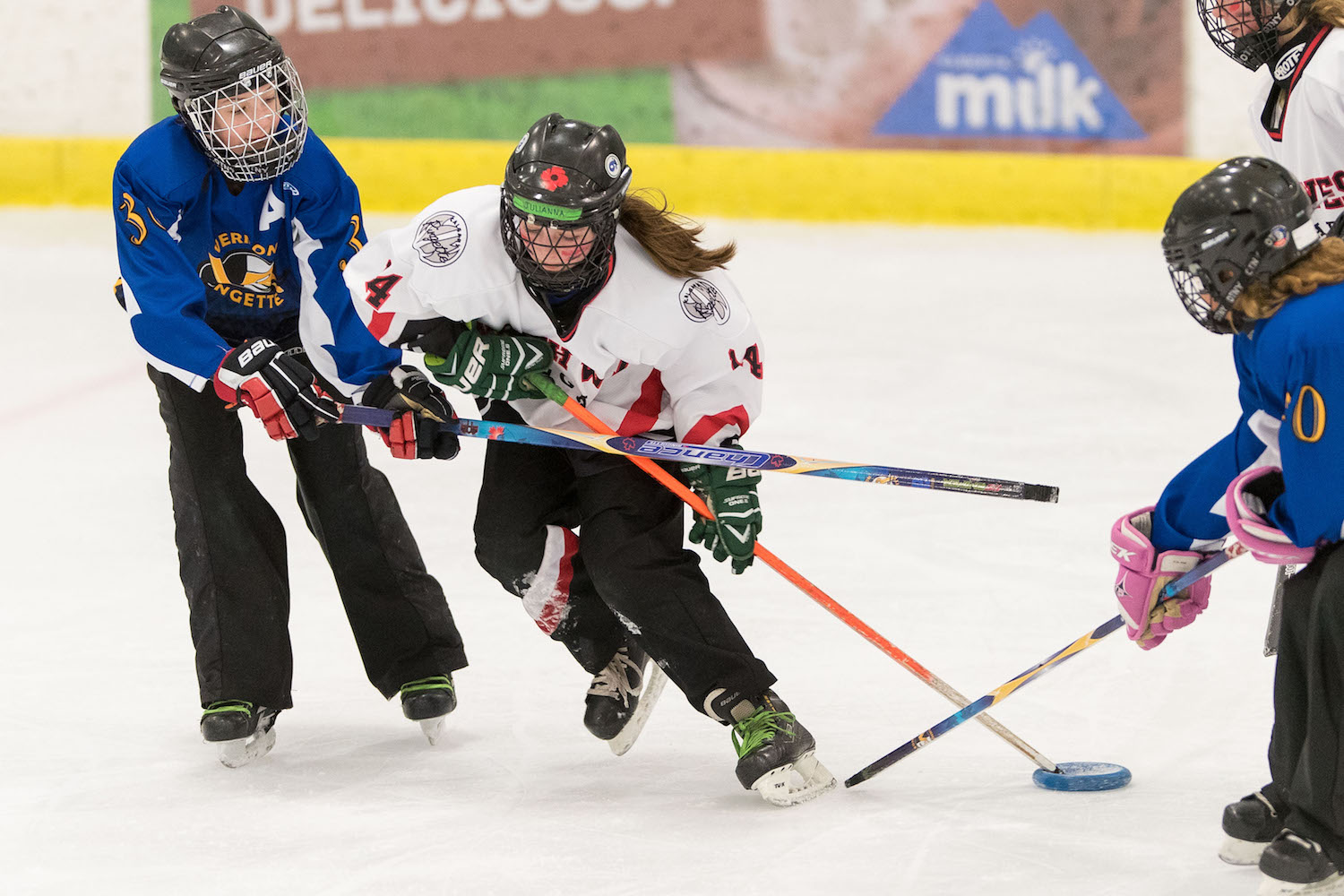 20170115 Venom Venom vs the YYC Impact Mawji 0551on whiteA.jpg