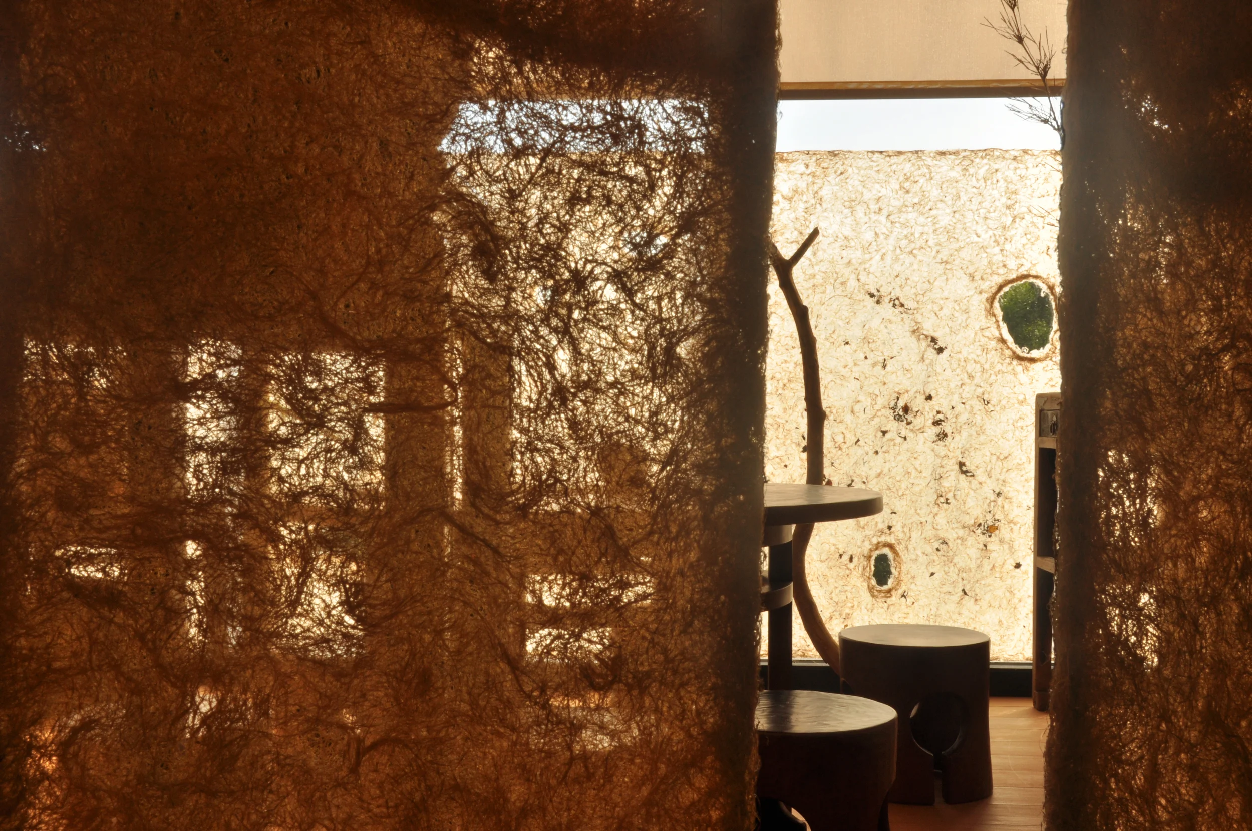 DSC_0576 - Version 2.JPG