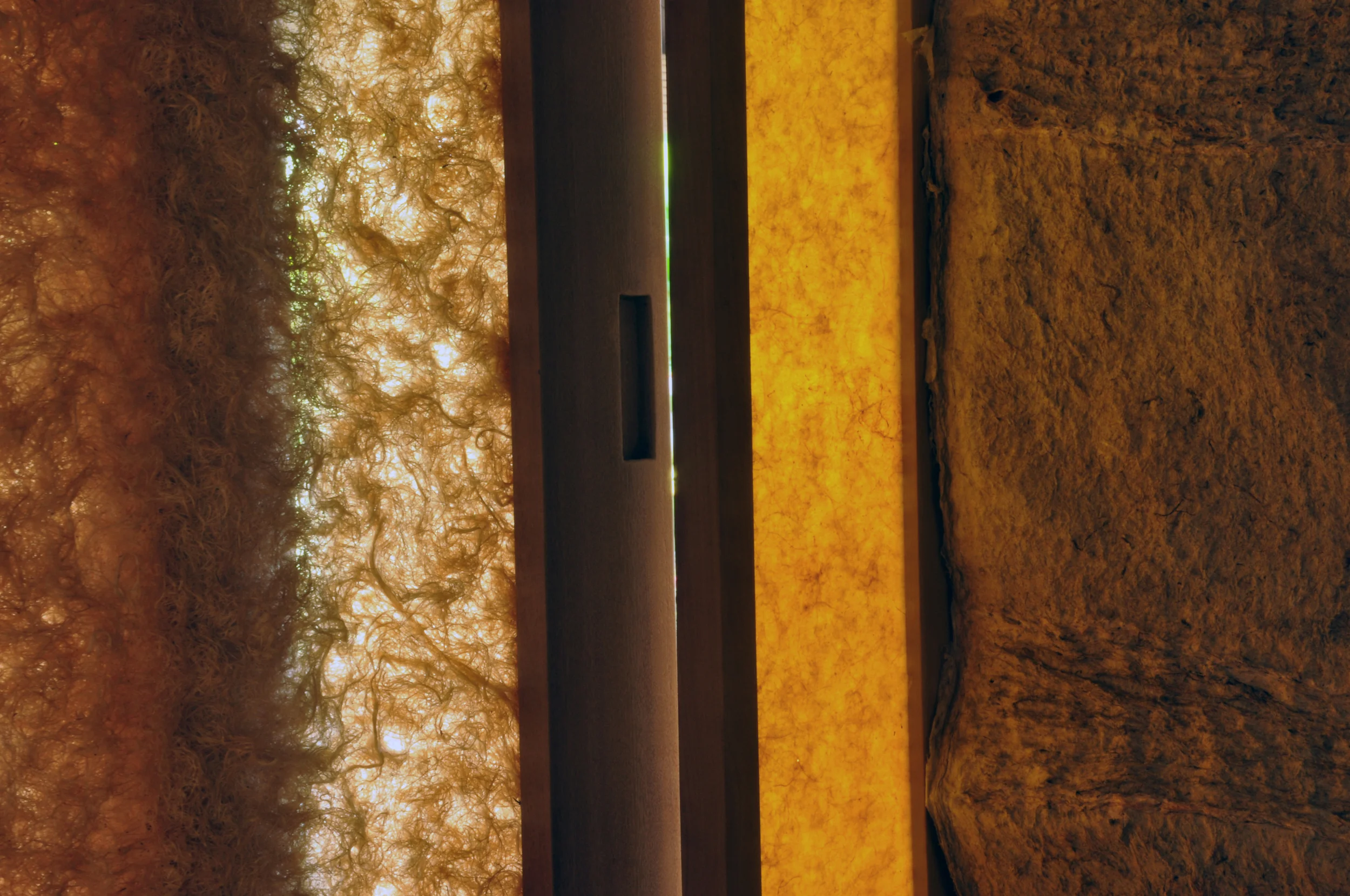 DSC_0422 - Version 2.JPG