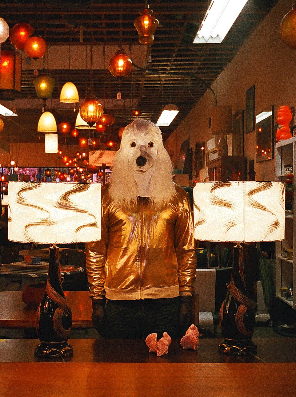 56620037v1.gif
