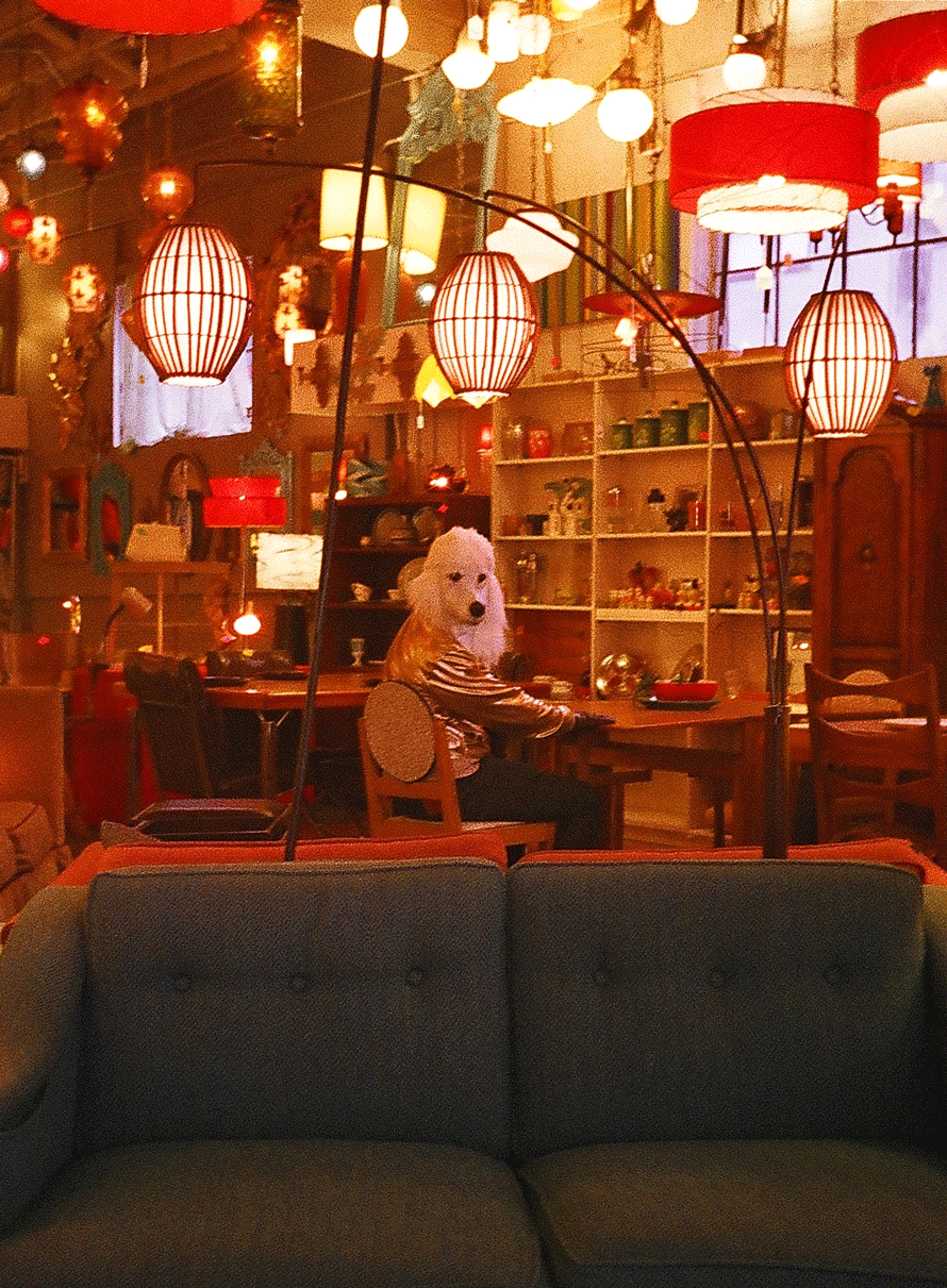 56620029v1.gif