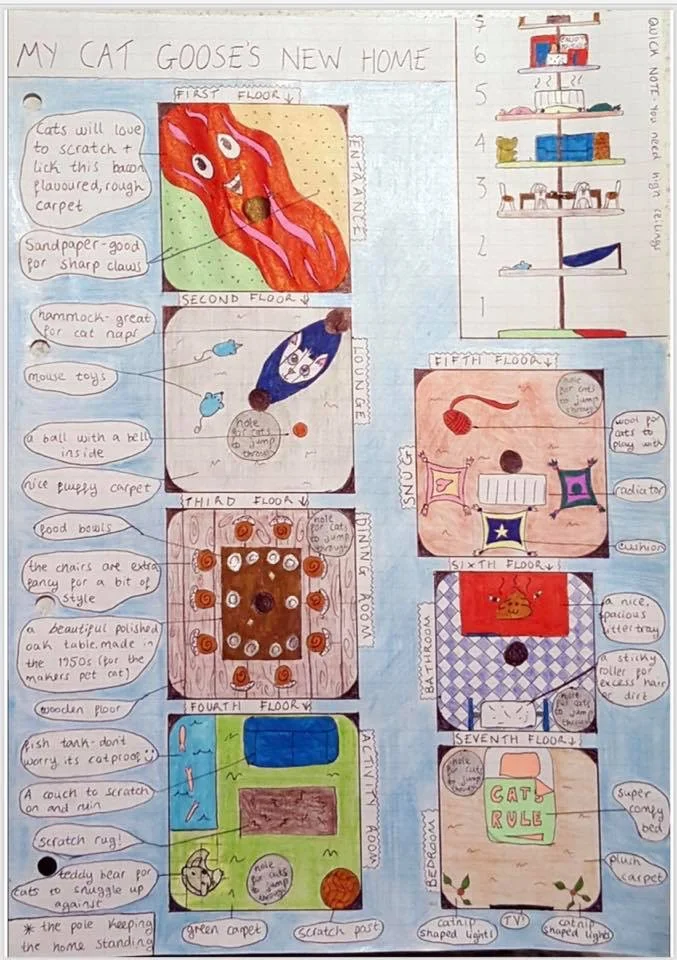 Winning entry in our Pet’s Home category - Elizabeth Carter-Shepherd, aged 13. What an amazing entry and a deserved winner!