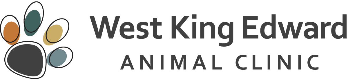 West King Edward animal clinic