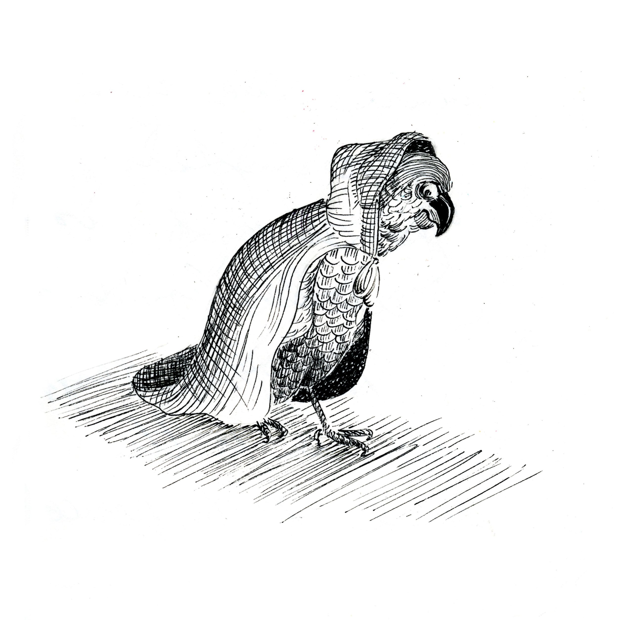 Parrot leaves pub night early and alone.