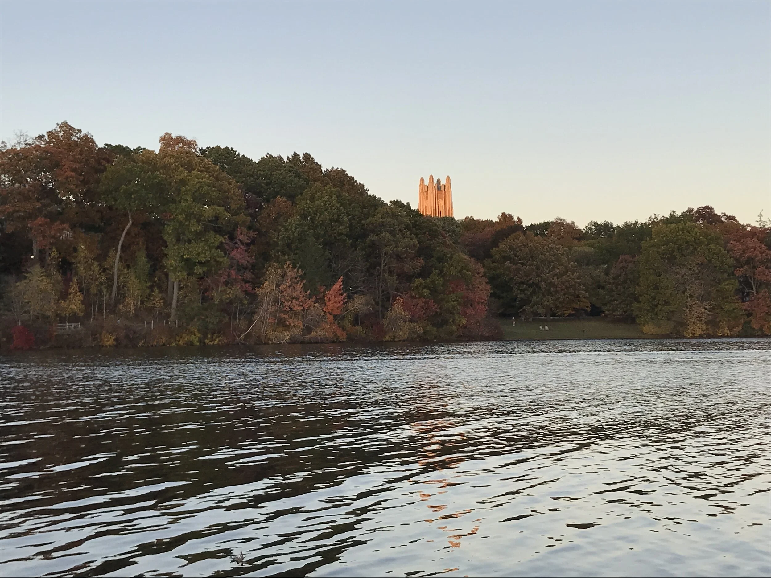 Wellesley Hits Playlist: 20 songs to mark the end of 2020