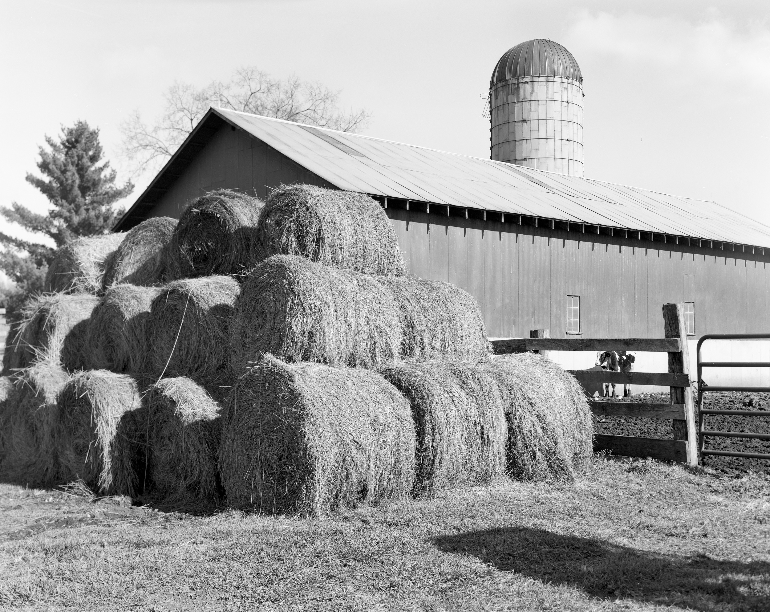 Family Farm delta004.jpg