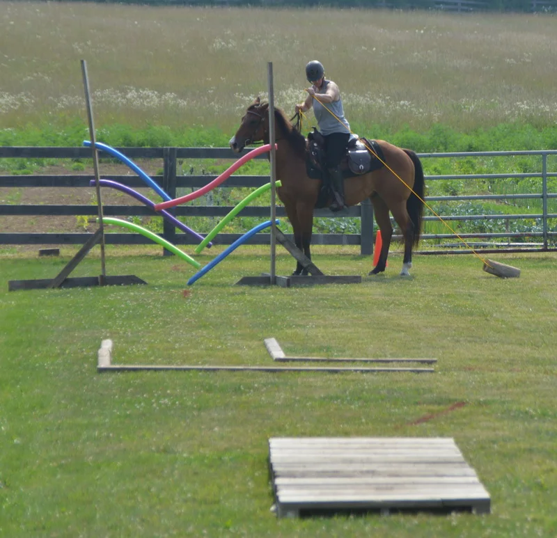 Obstacle_02.jpg