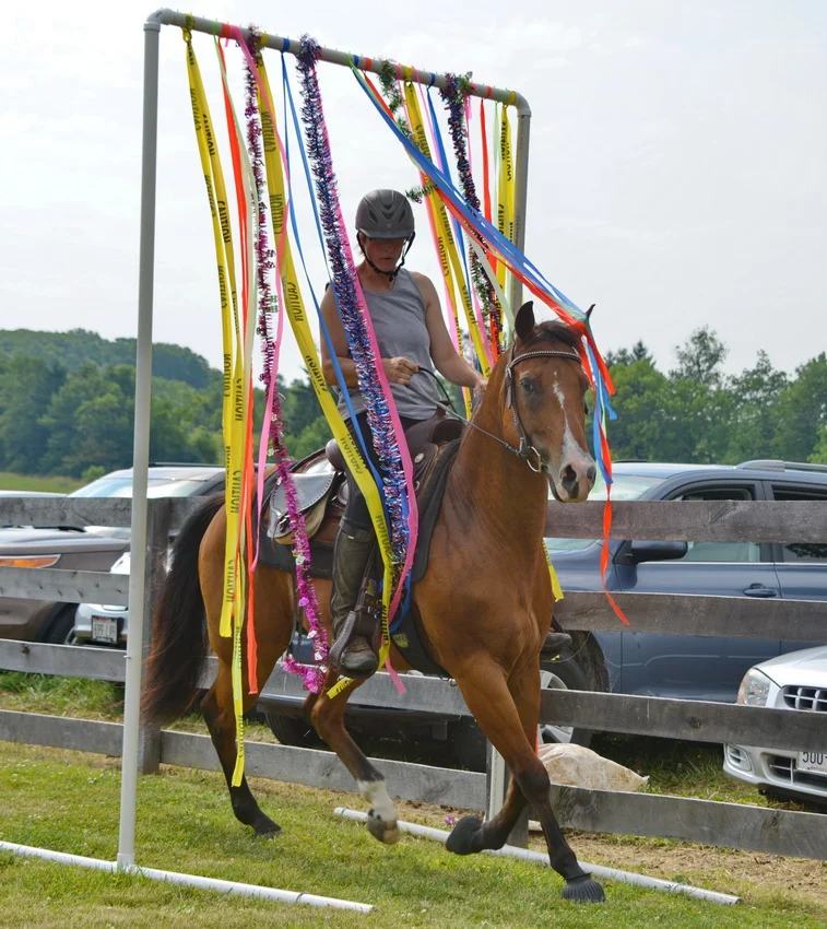 Obstacle_05.jpg