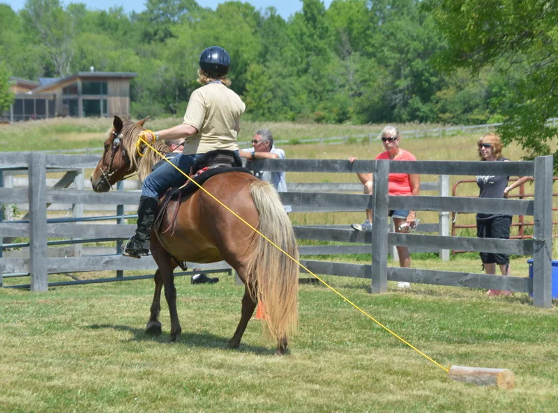 Obstacle_20.jpg