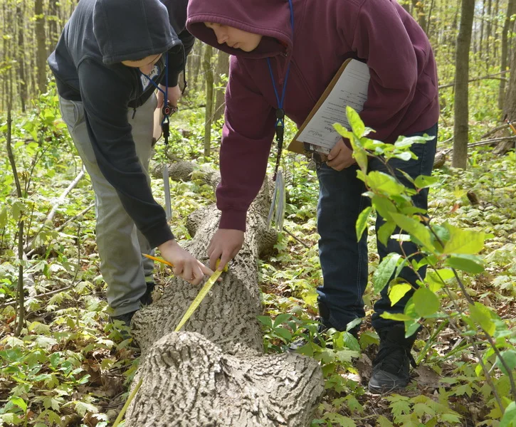 S2N May 17th 2016_09_resize.JPG