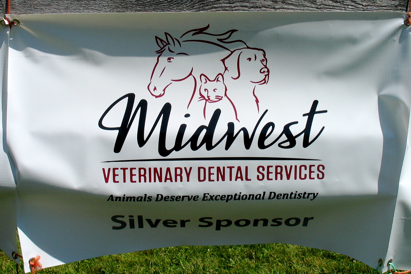 MIdwest Veterinary Dental Service www.midwestvetdental.com
