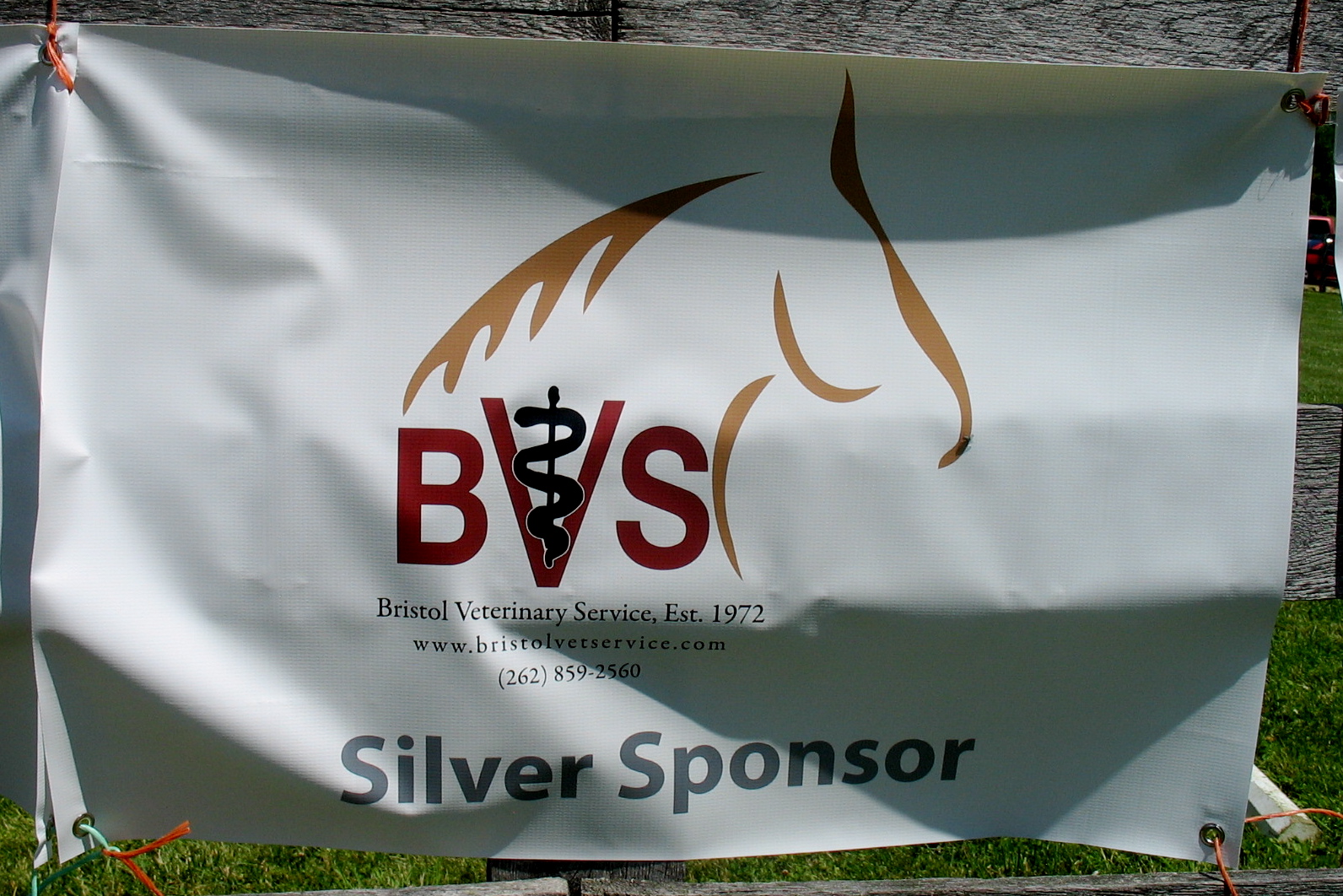 Bristol Veterinary Service www.bristolvetservice.com