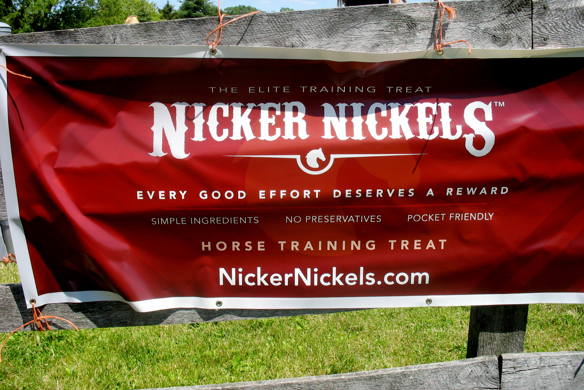 NIcker NIckles www.NickerNickles.com