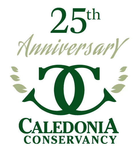 25thLogo.jpg
