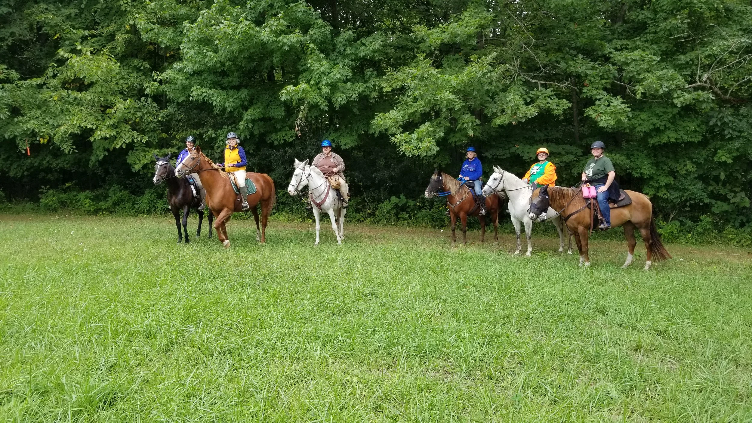 TaborWoodsRide.jpg
