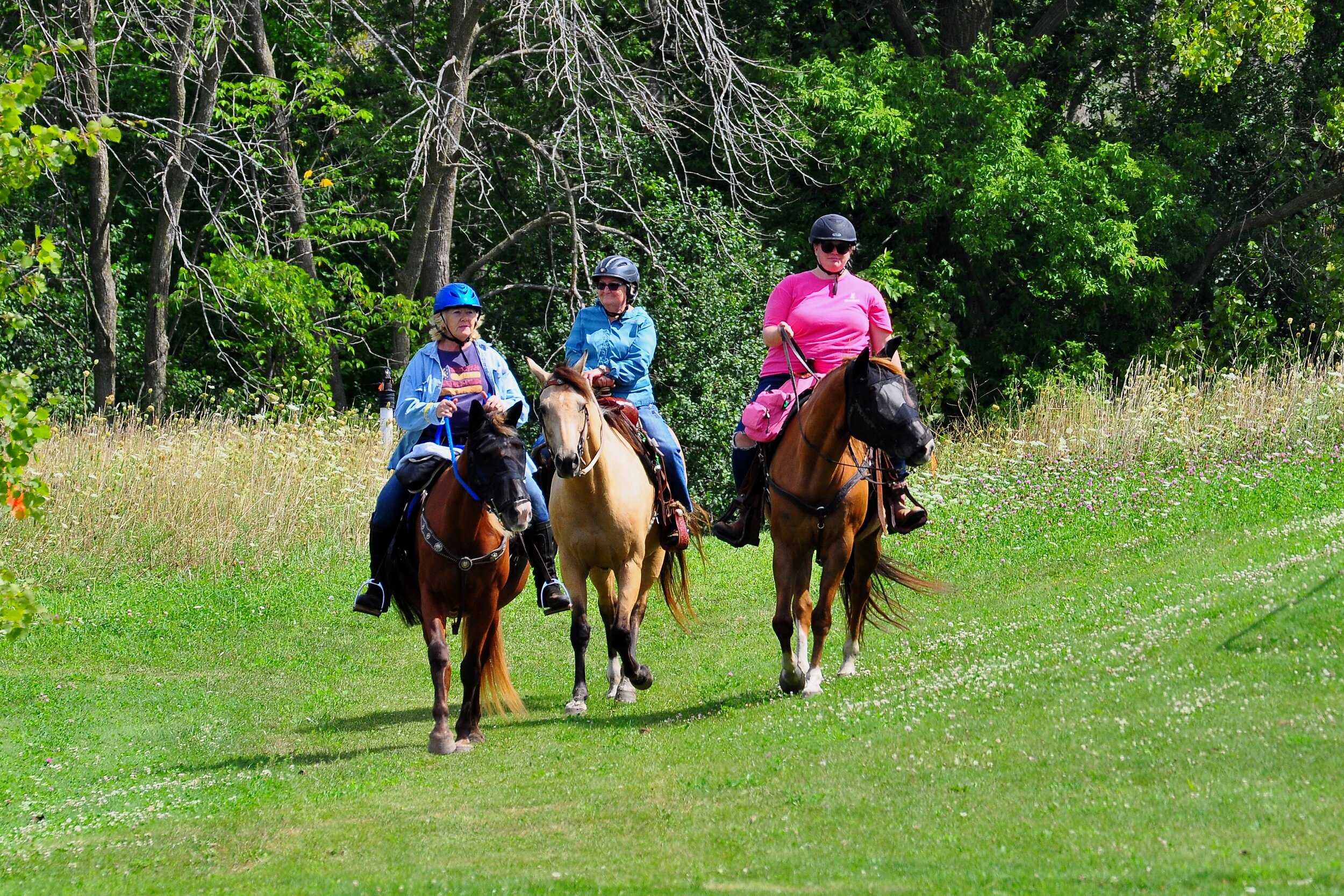 DSC_1057.JPG