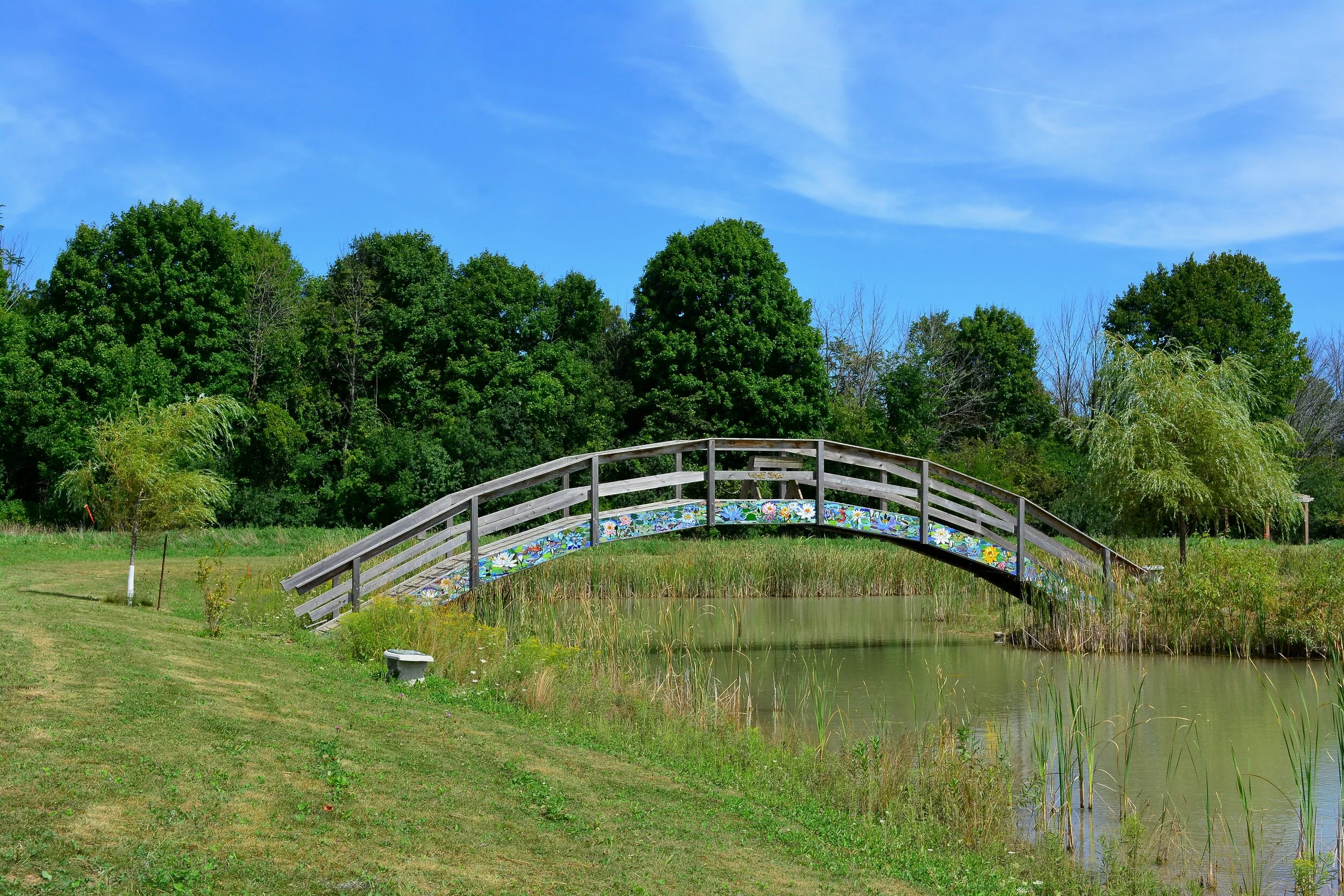 DSC_5959.JPG