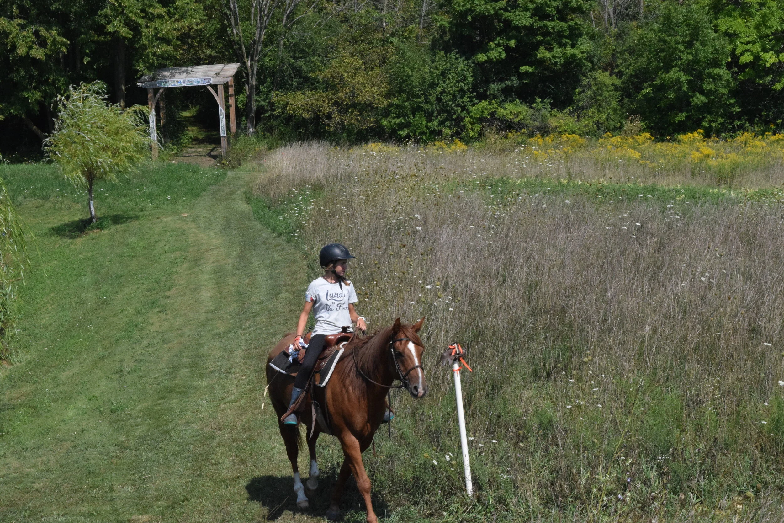DSC_0763.JPG