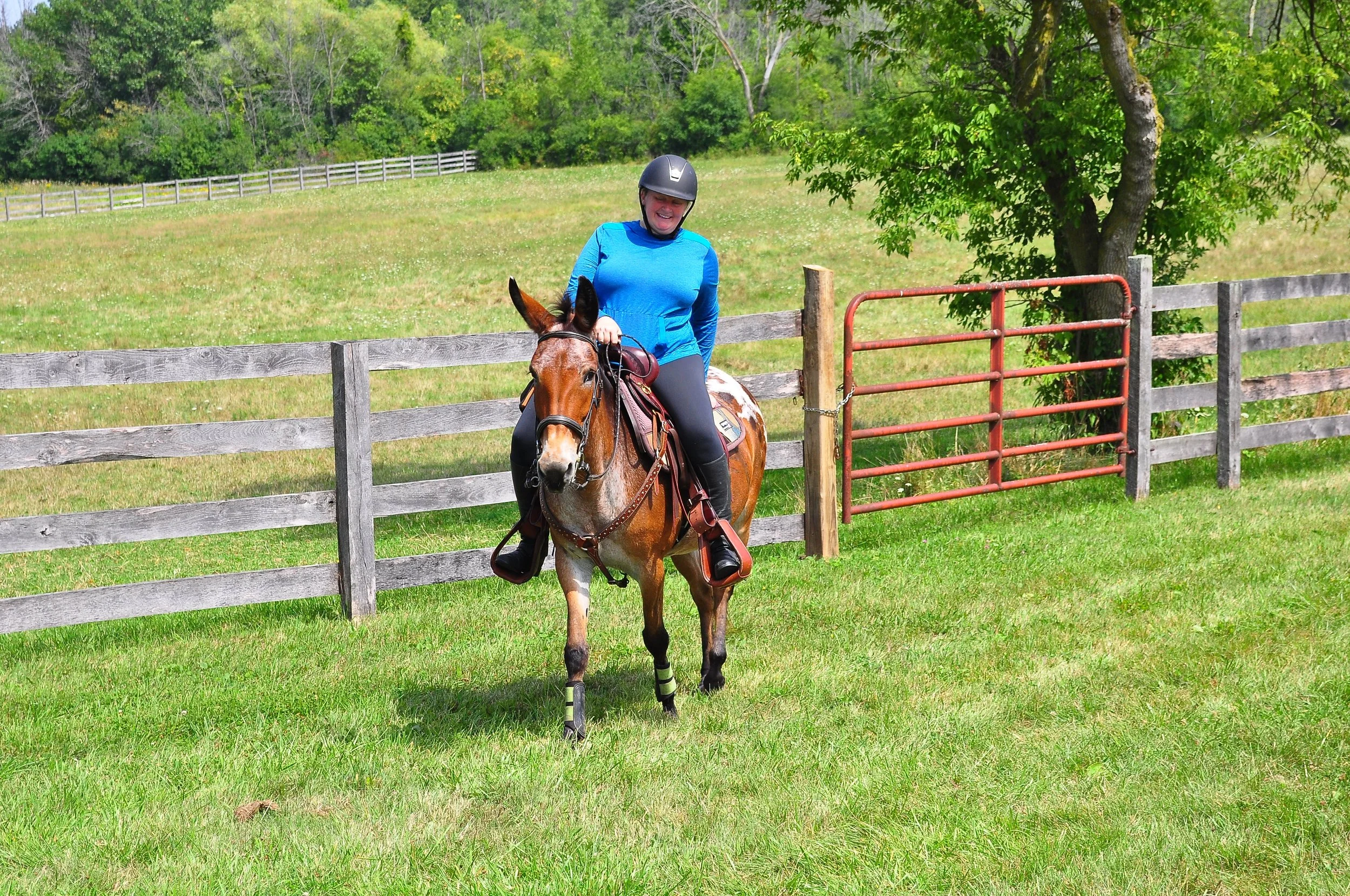 MROSS_2022(76) copy.JPG