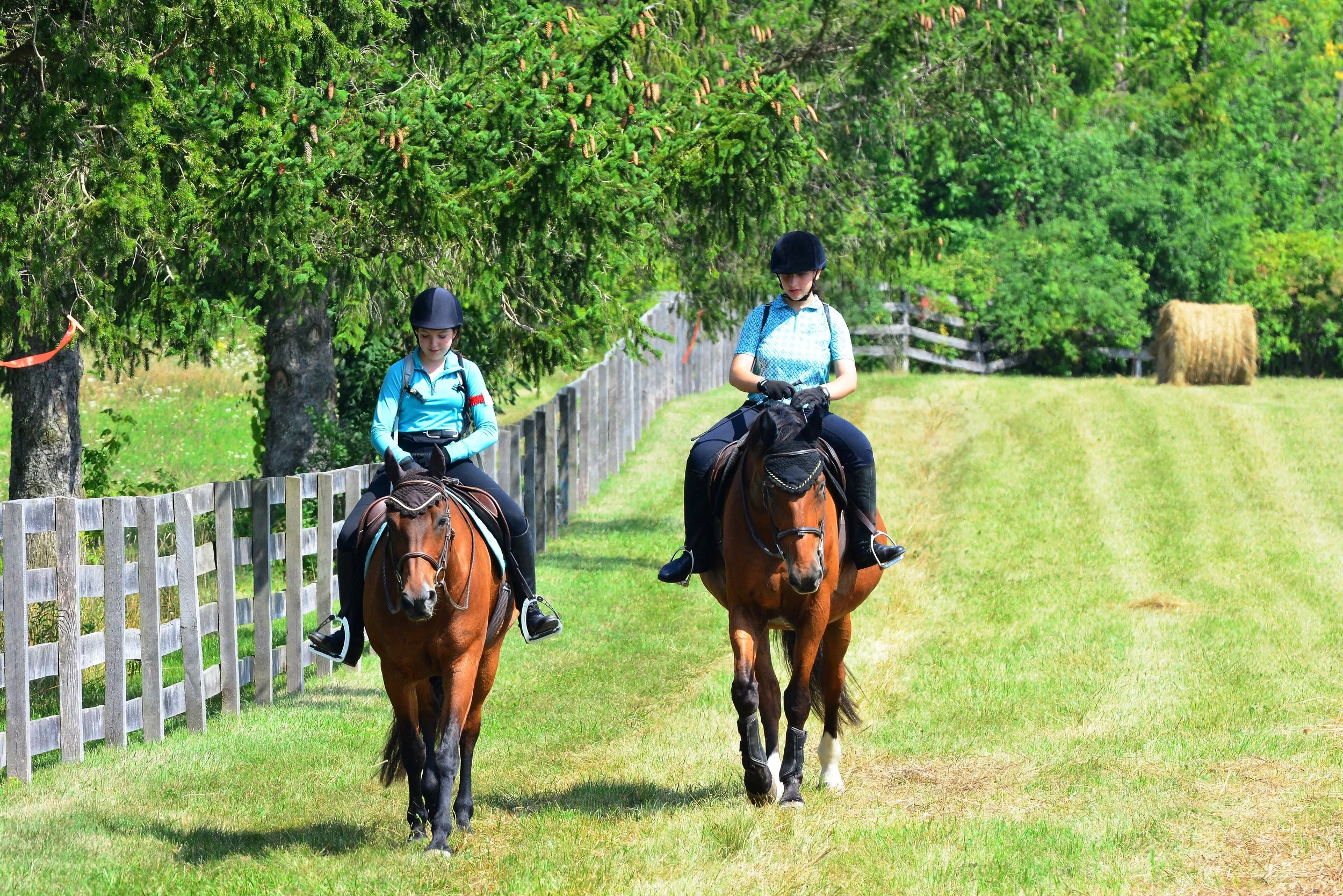 MROSS_2022(186) copy.JPG