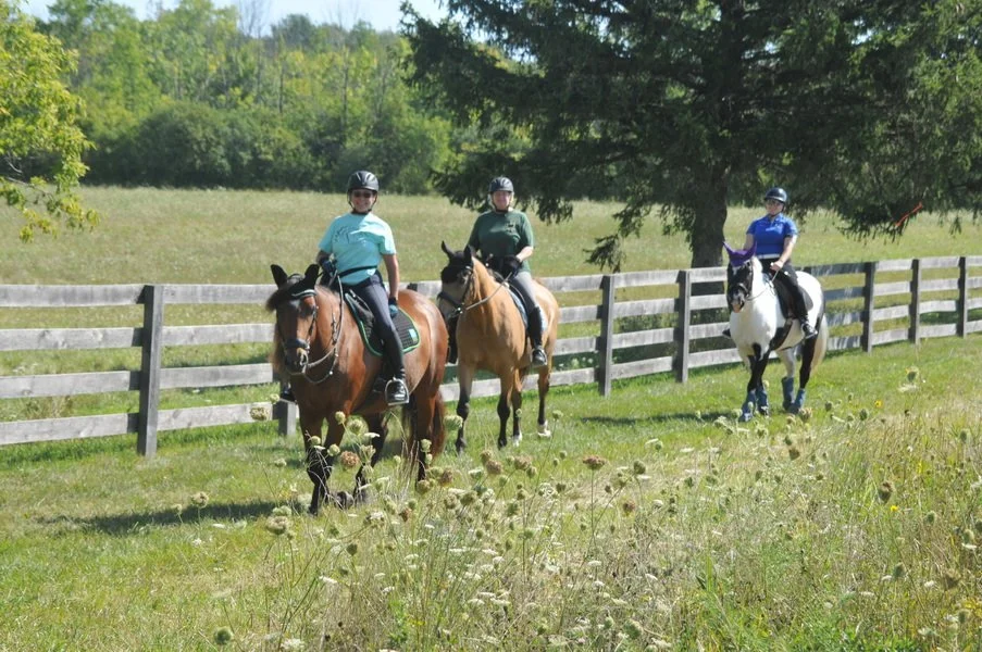 ROY_6612_resize copy.JPG