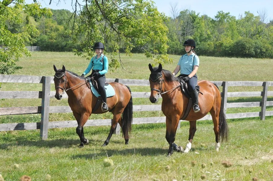 ROY_6639_resize copy 2.JPG