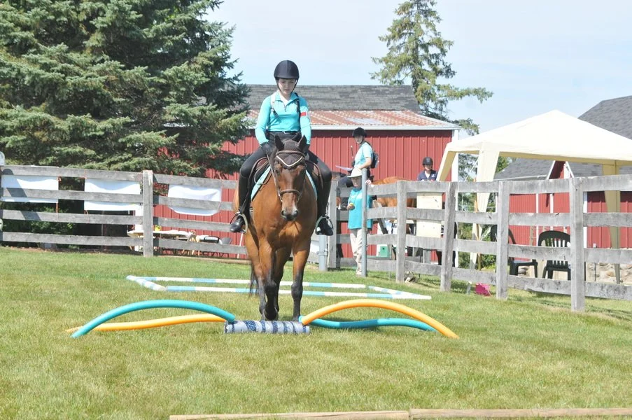 ROY_6644_resize copy.JPG