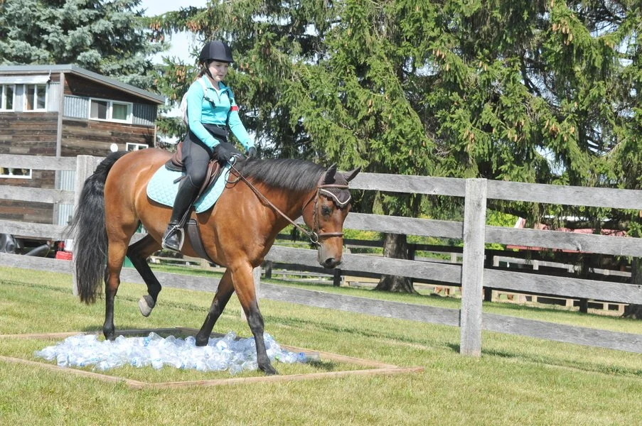 ROY_6645_resize copy.JPG