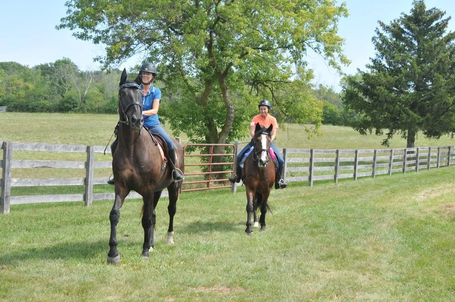 ROY_6690_resize copy.JPG