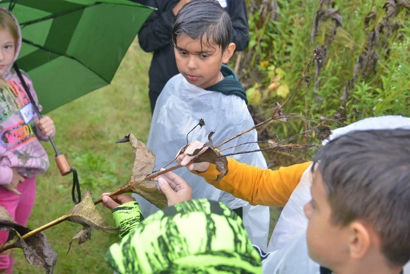 - _8015 - Copy_resize.JPG