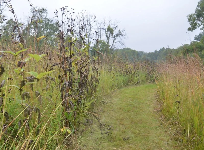 - _8037 - Copy_resize.JPG