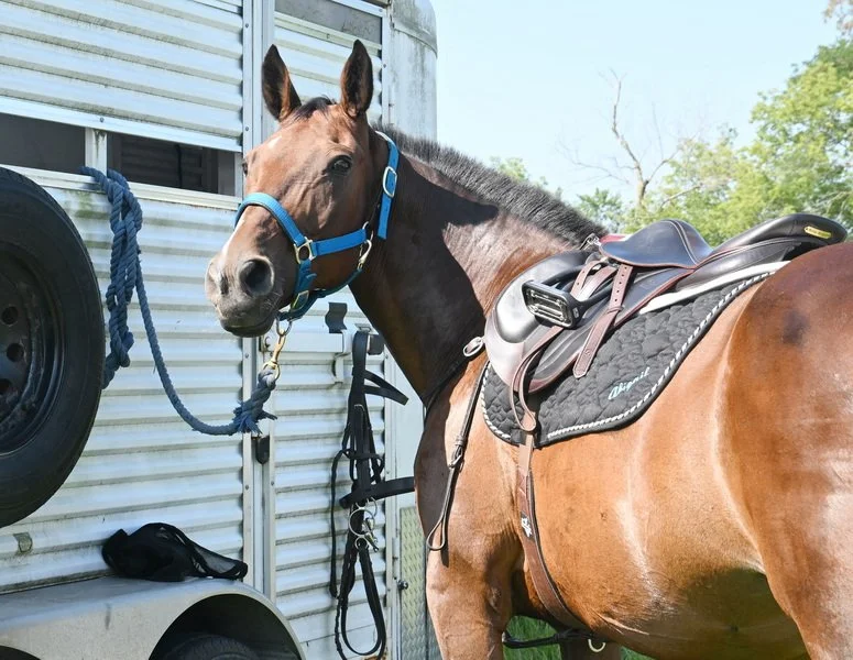 - _3399_resize copy.JPG