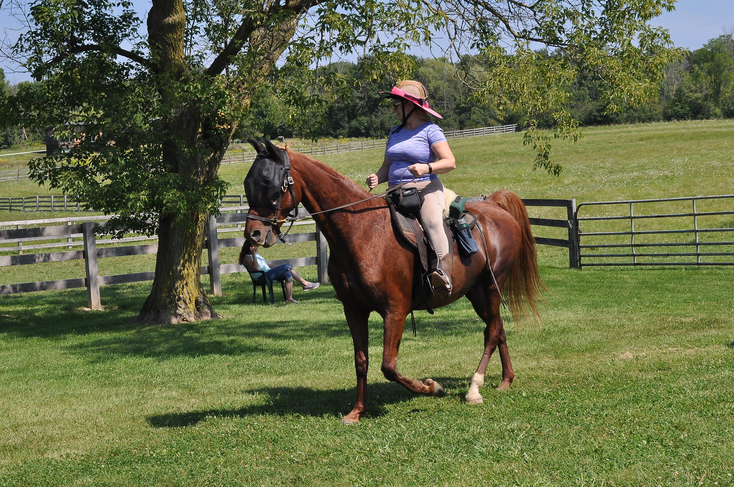 Mross 2024(48) copy.JPG