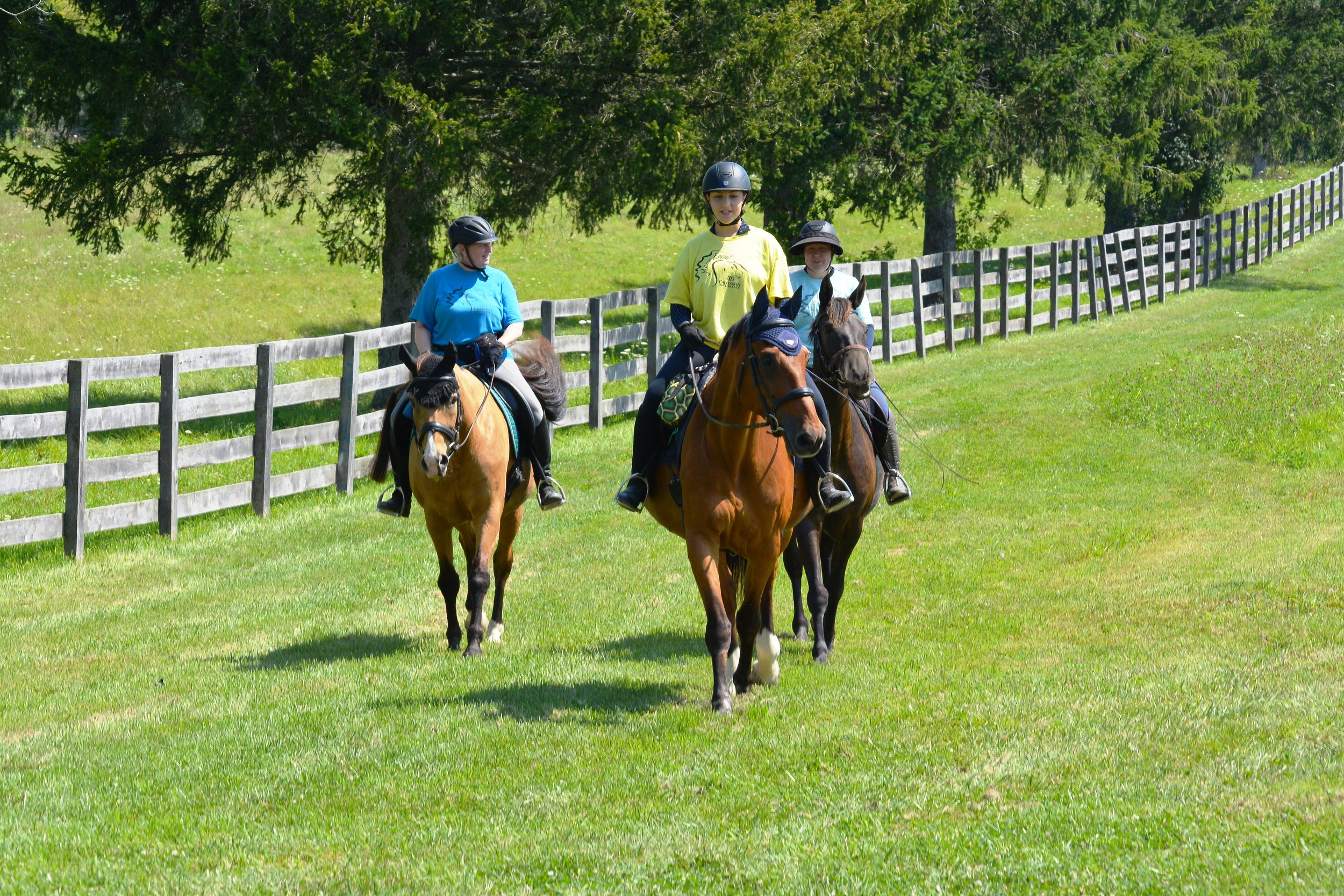 Mross 2024(74) copy.JPG