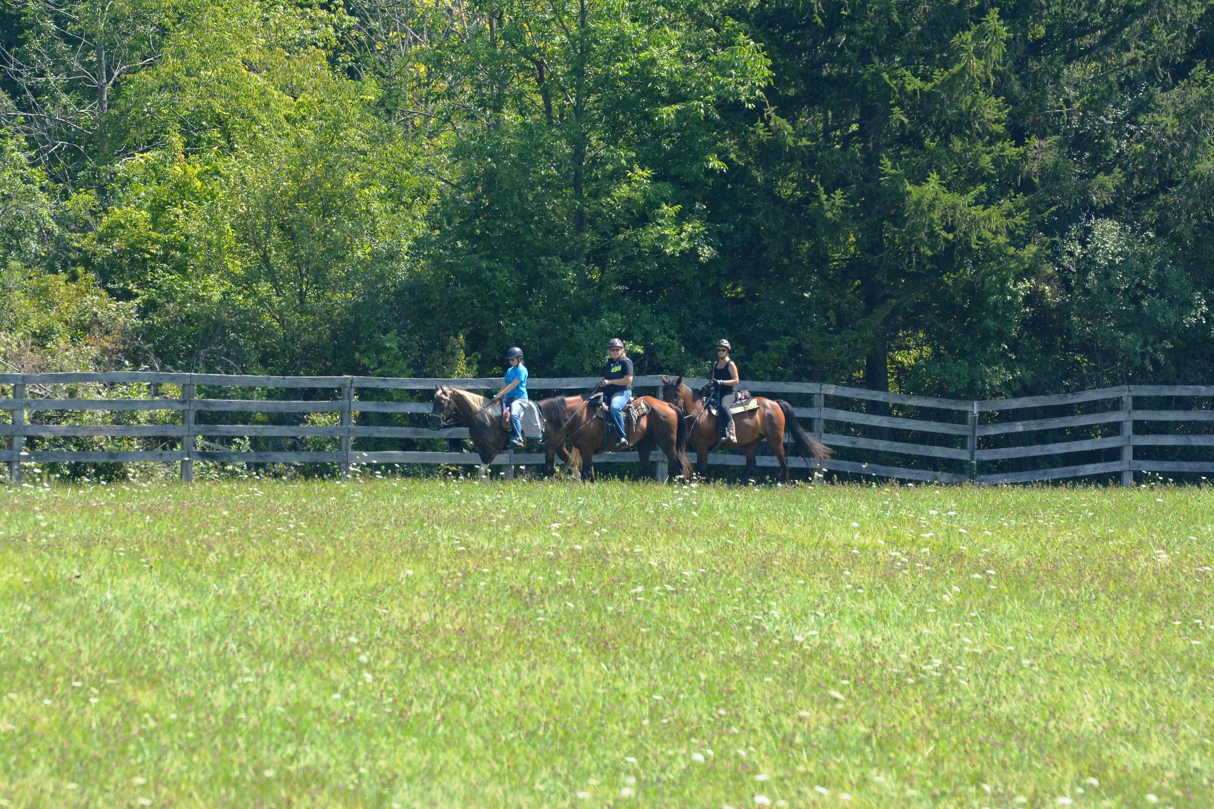 Mross 2024(75) copy.JPG