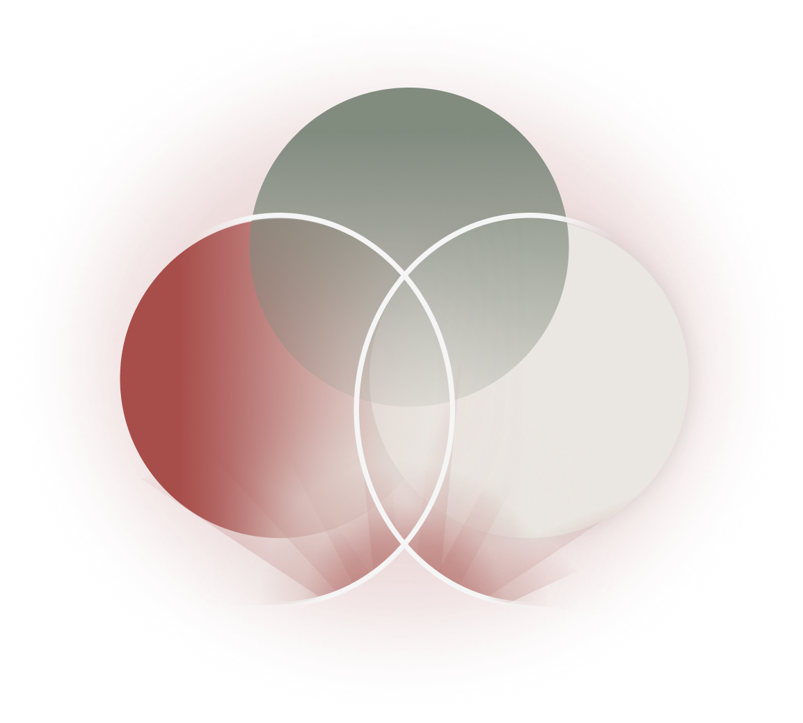 A stylized Venn diagram with three overlapping circles set against a textured red background.
